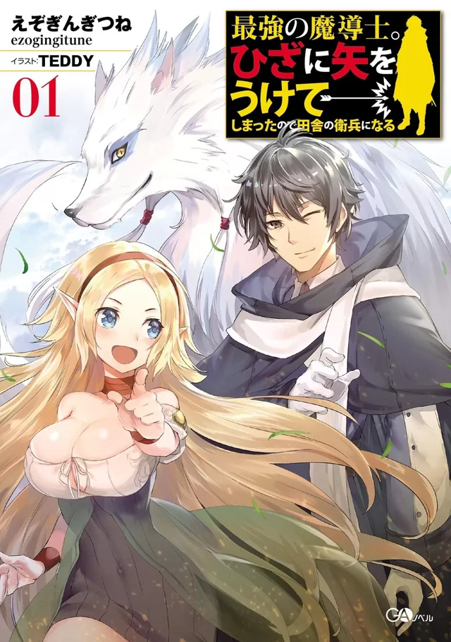 Novel Banner