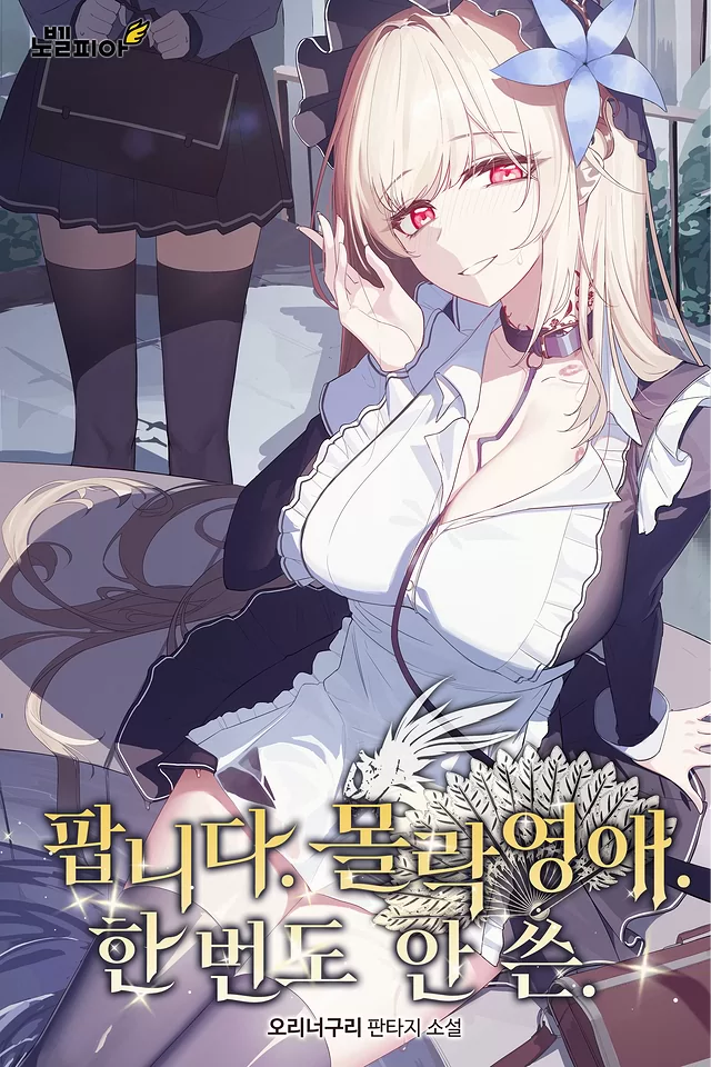 Novel Banner