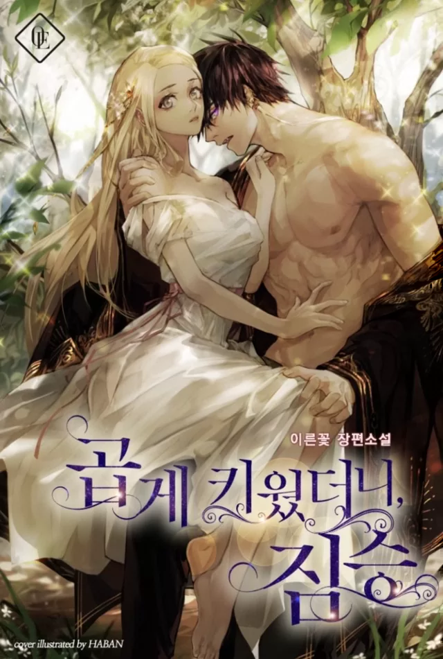 Novel Banner