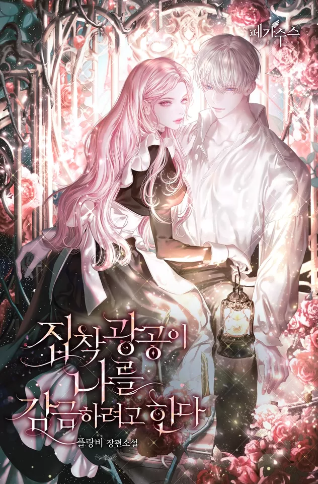 Novel Banner