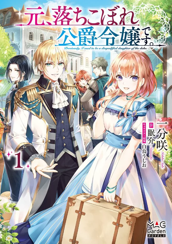Novel Banner