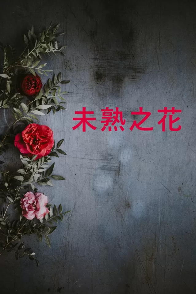 Novel Banner