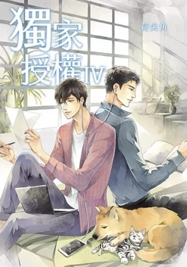 Novel Banner