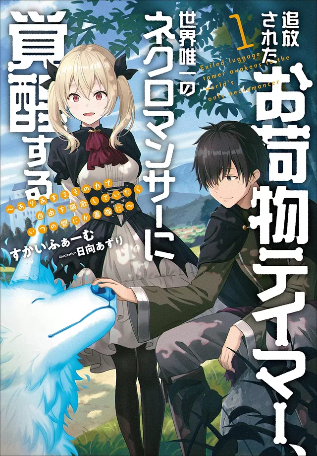 Novel Banner