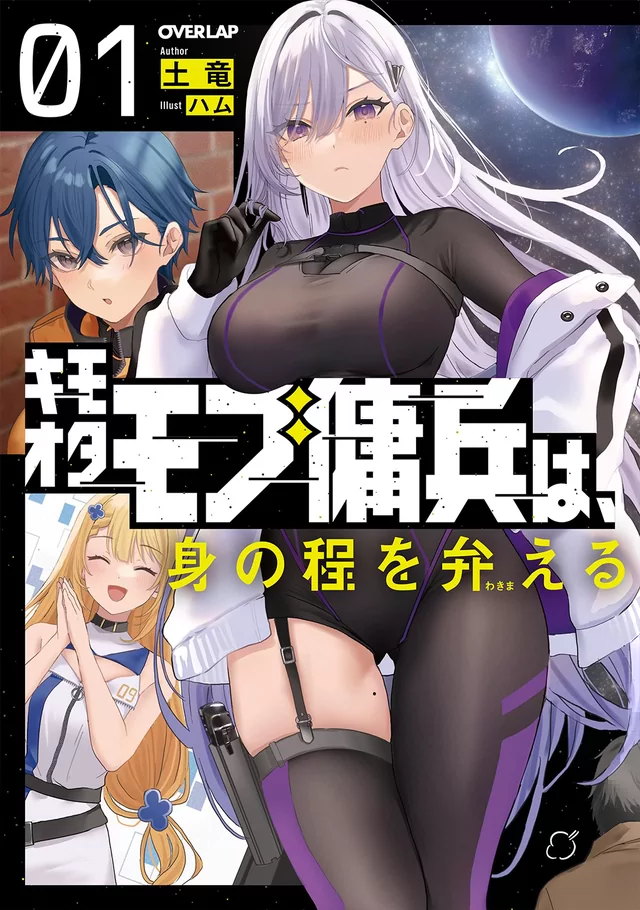 Novel Banner