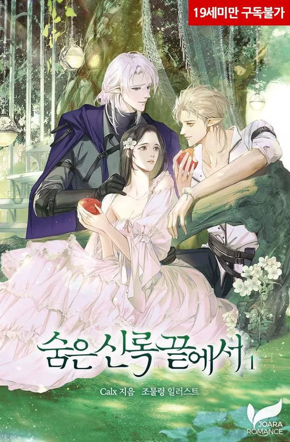 Novel Banner