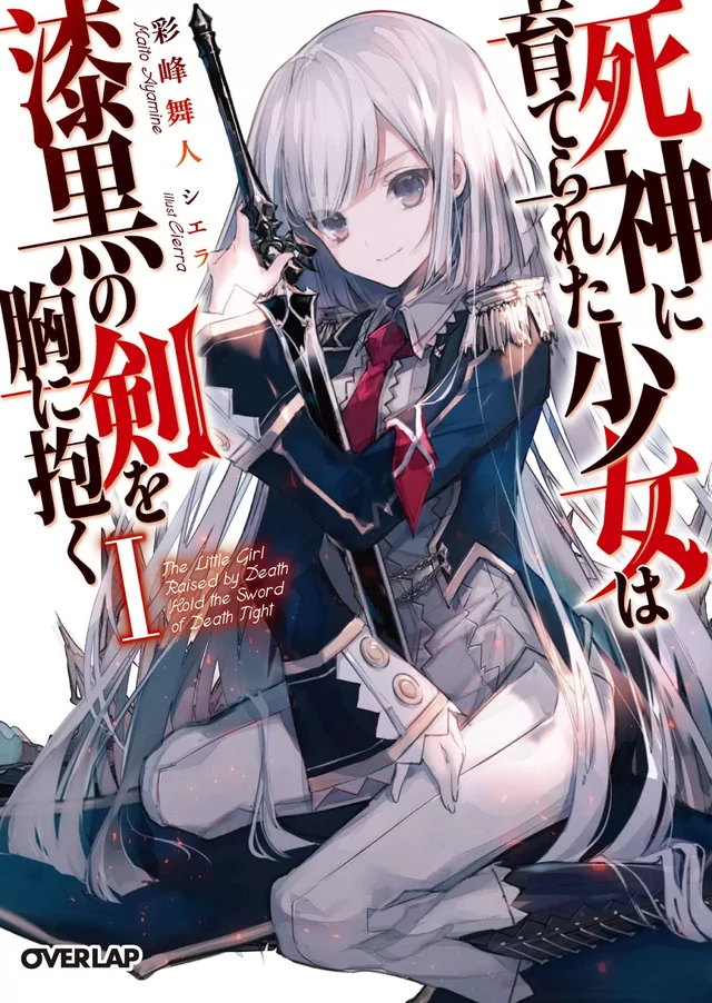 Novel Banner