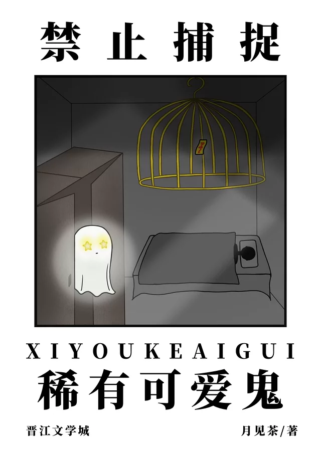 Novel Banner