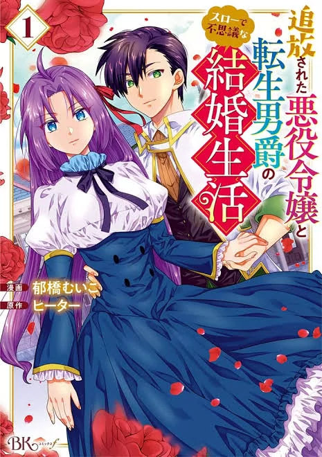 Novel Banner