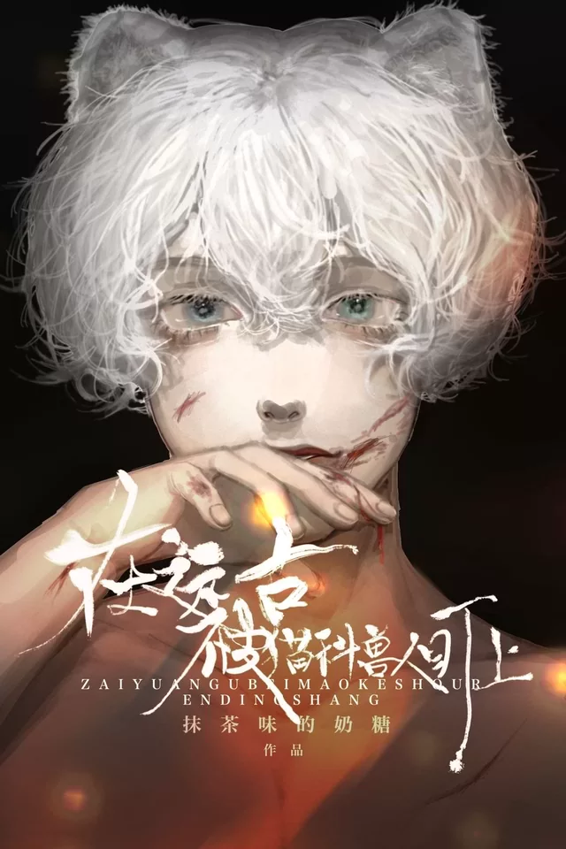 Novel Banner