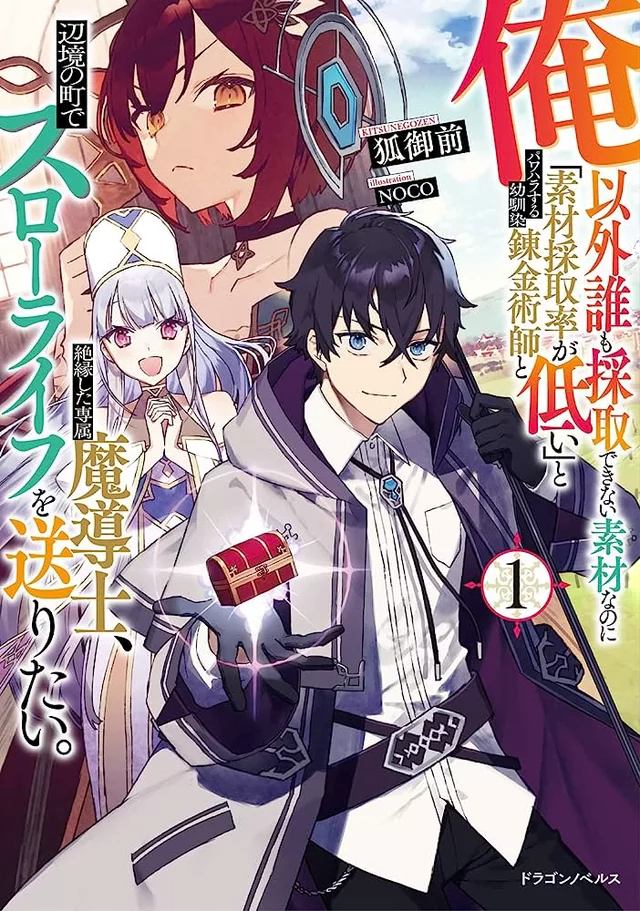 Novel Banner