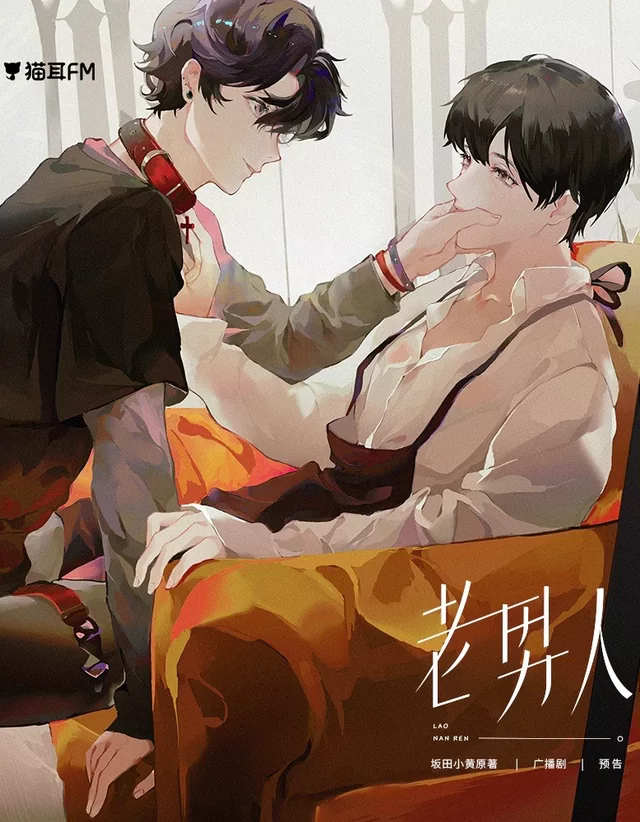 Novel Banner