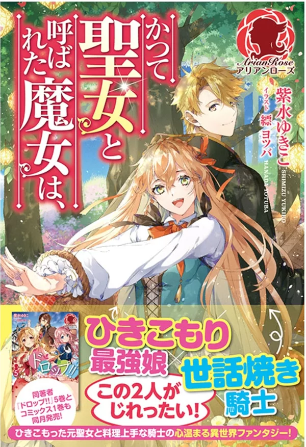 Novel Banner