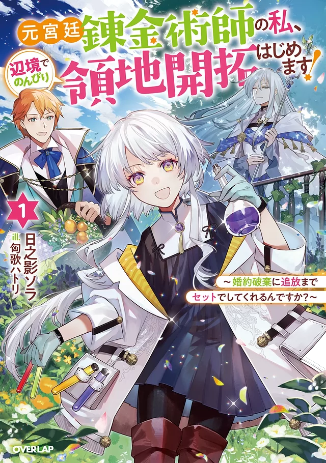 Novel Banner