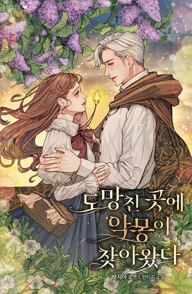 Novel Banner