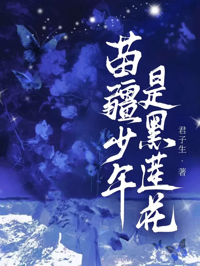 Novel Banner