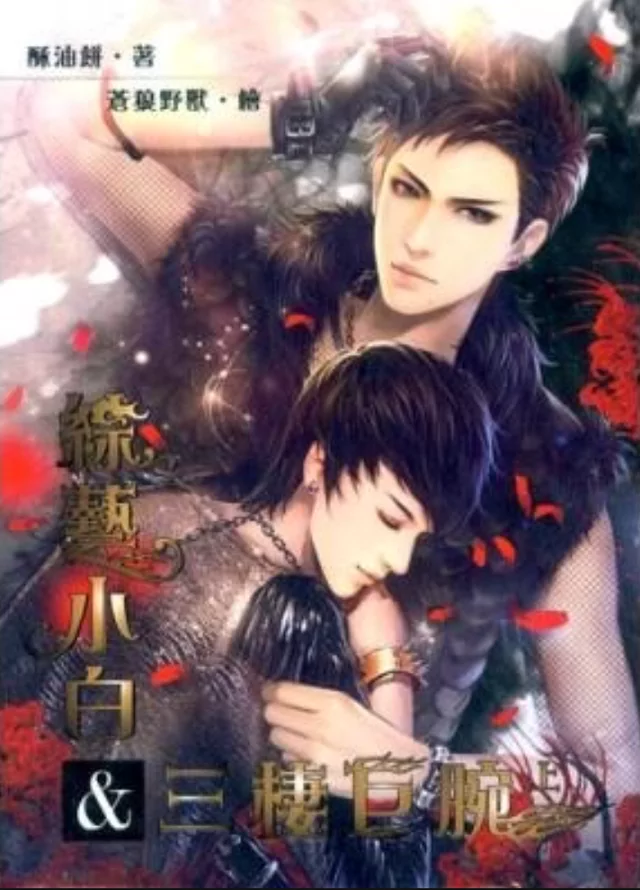 Novel Banner