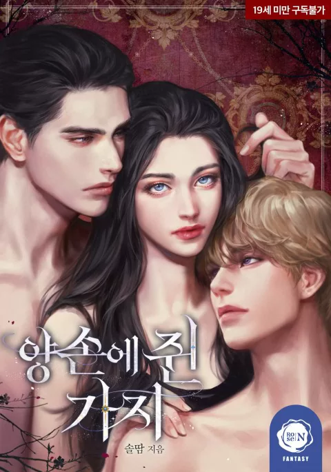 Novel Banner