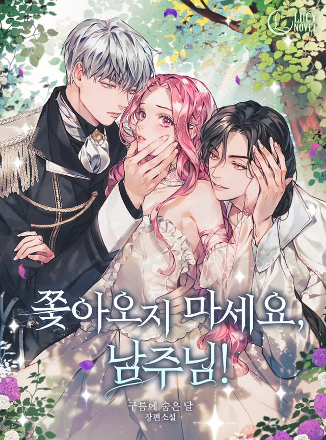 Novel Banner