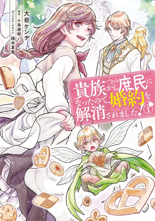 Novel Banner