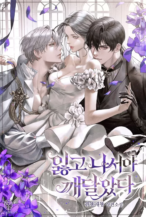 Novel Banner