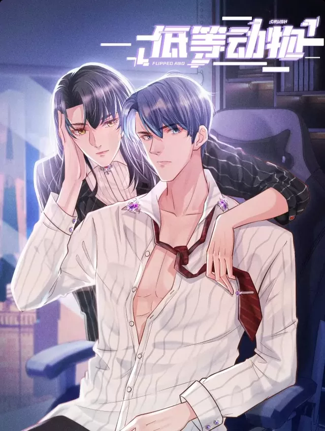 Novel Banner