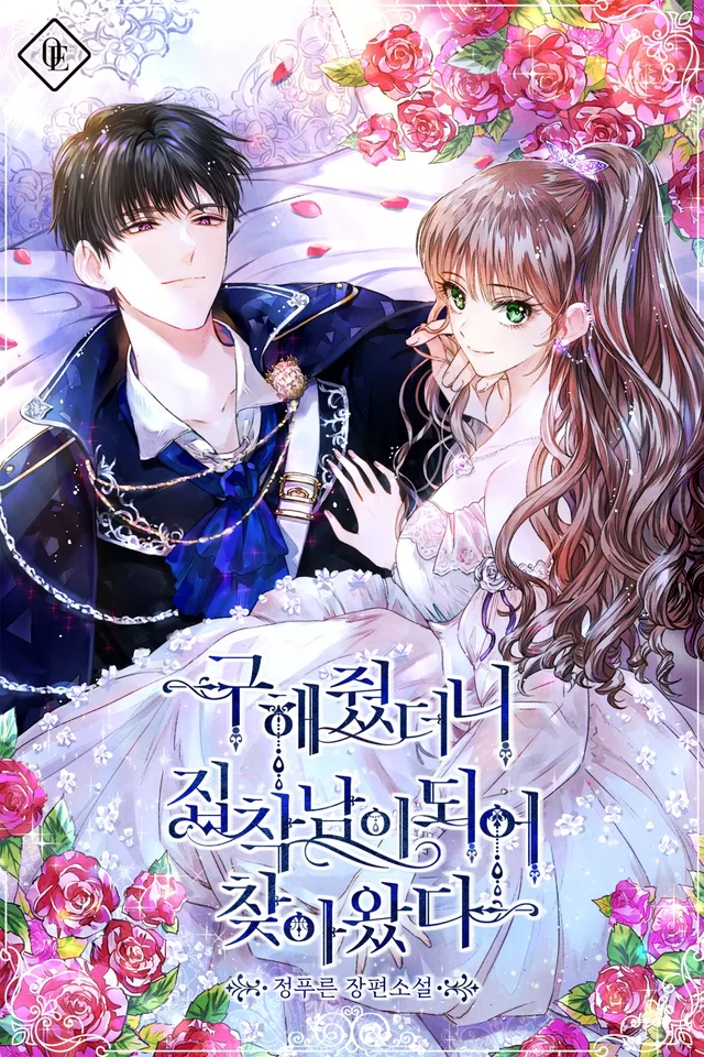 Novel Banner