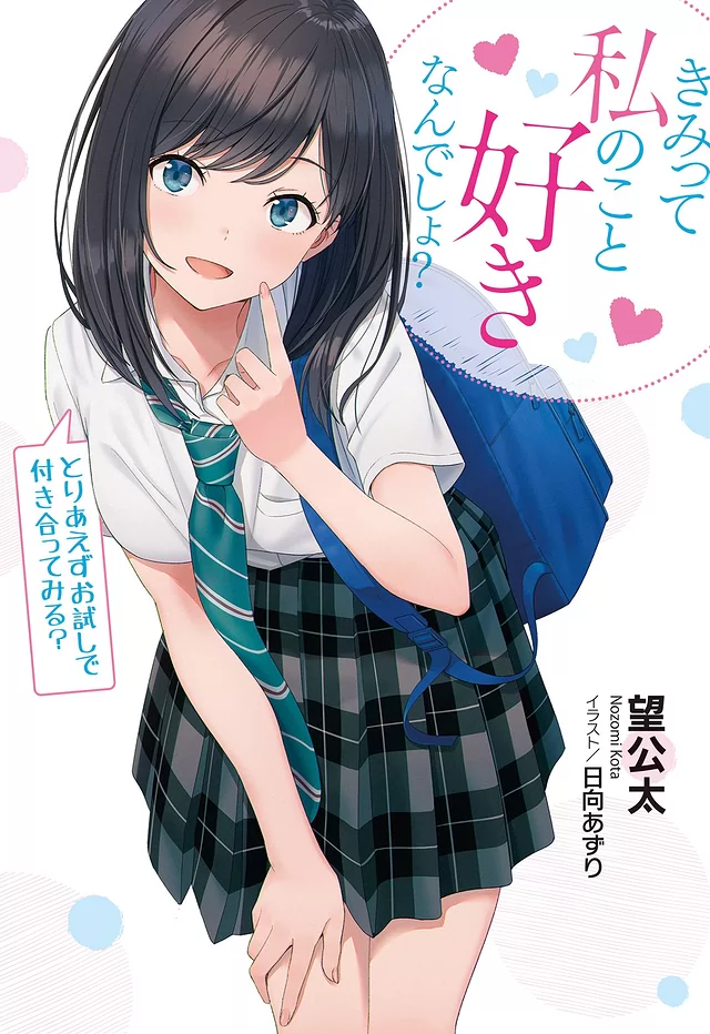 Novel Banner