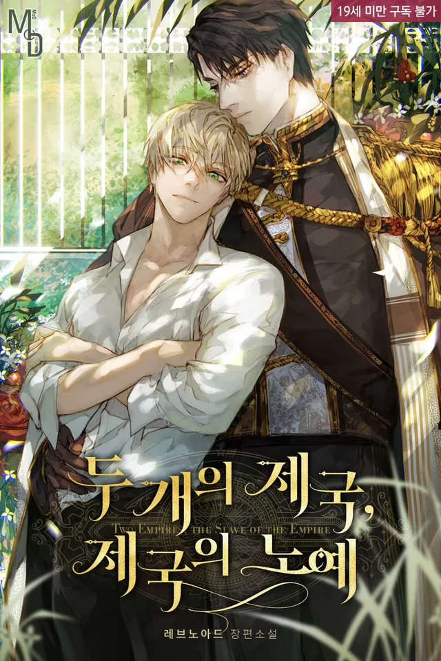 Novel Banner