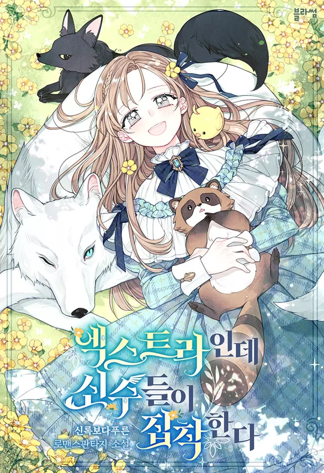Novel Banner