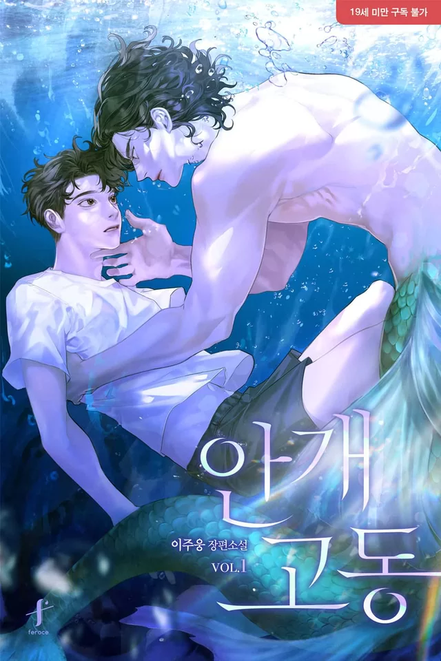 Novel Banner