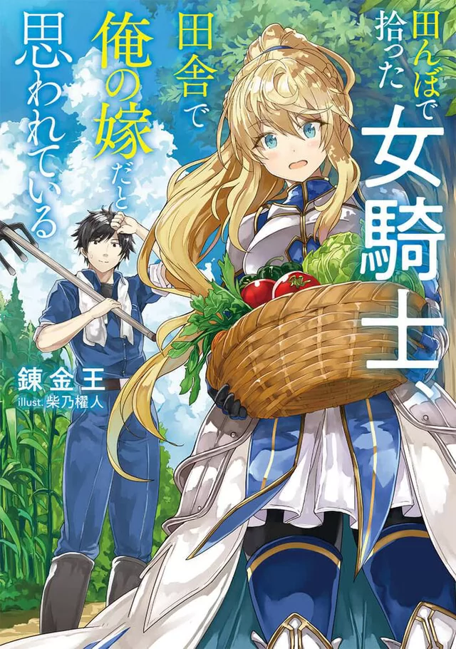 Novel Banner