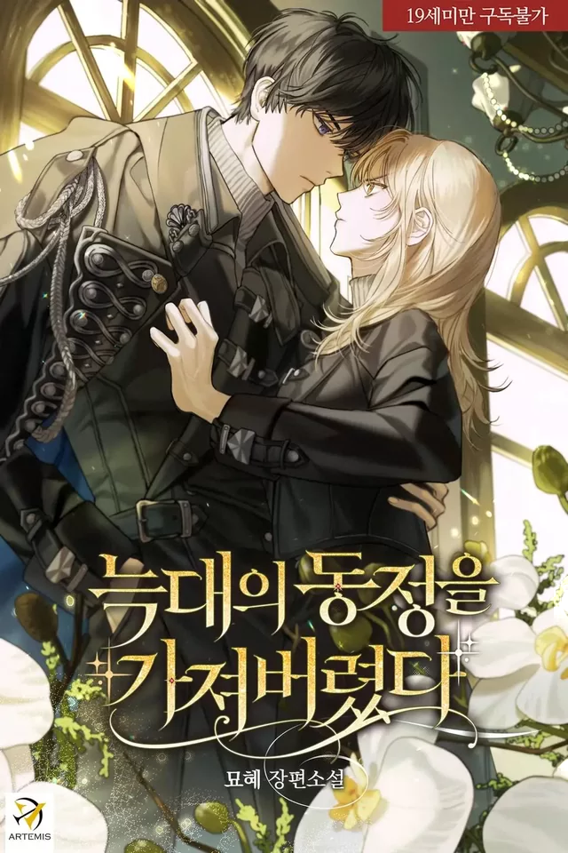 Novel Banner