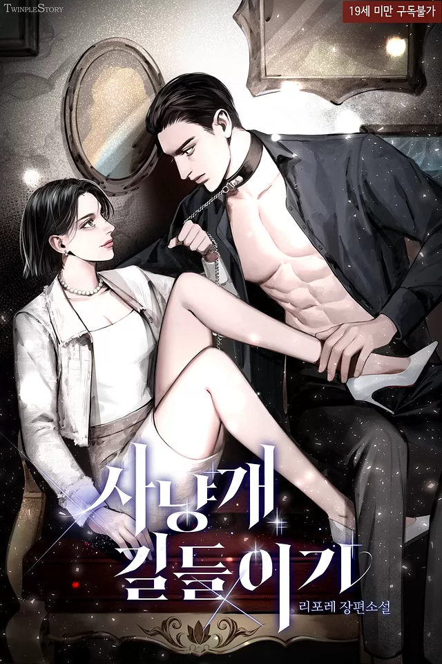 Novel Banner