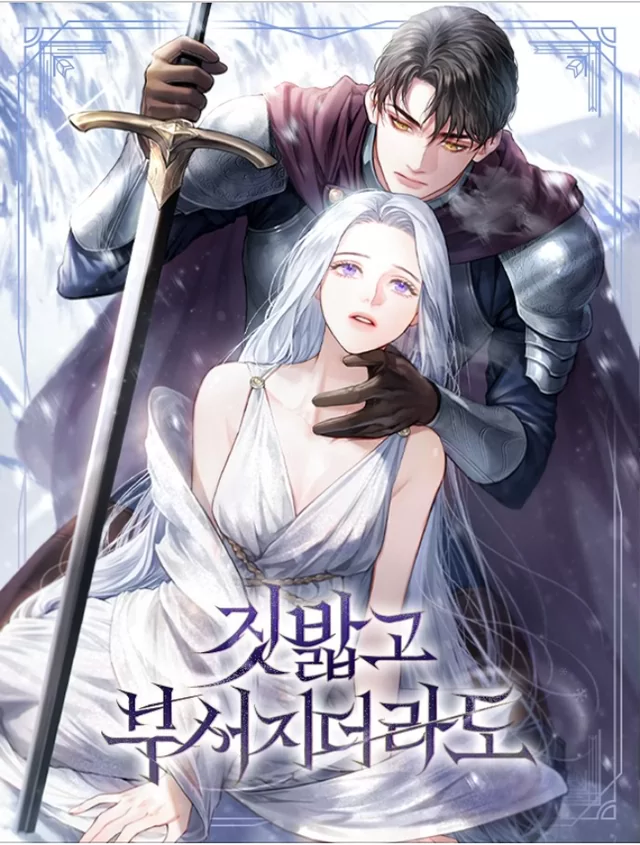 Novel Banner