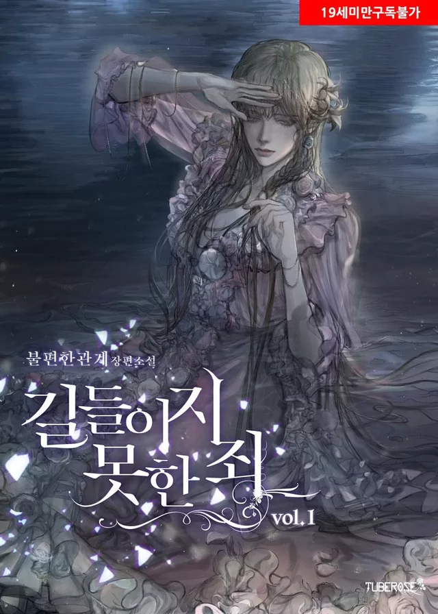 Novel Banner