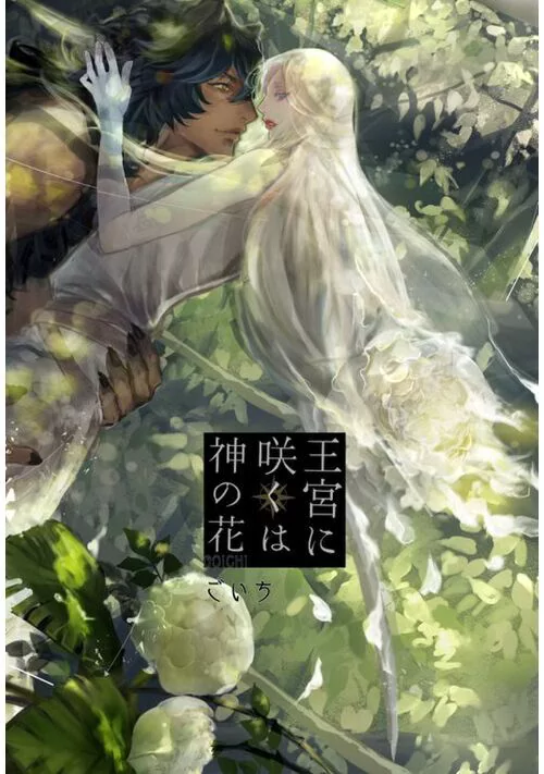Novel Banner