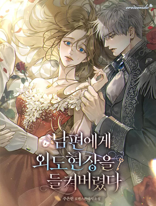 Novel Banner