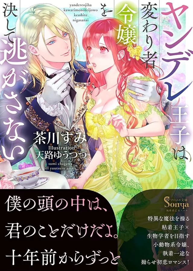 Novel Banner