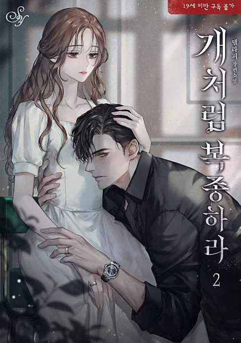 Novel Banner