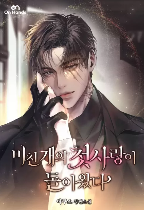 Novel Banner