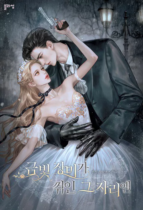 Novel Banner
