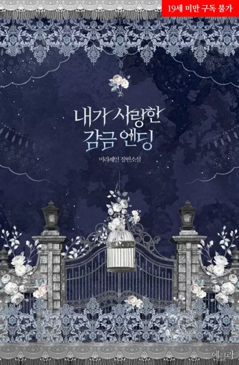 Novel Banner