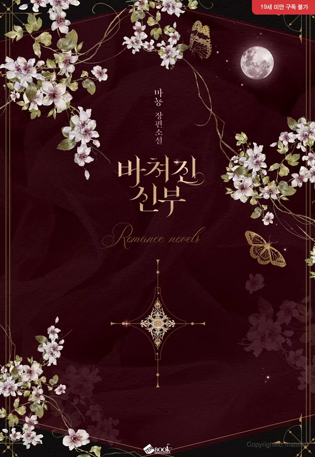 Novel Banner