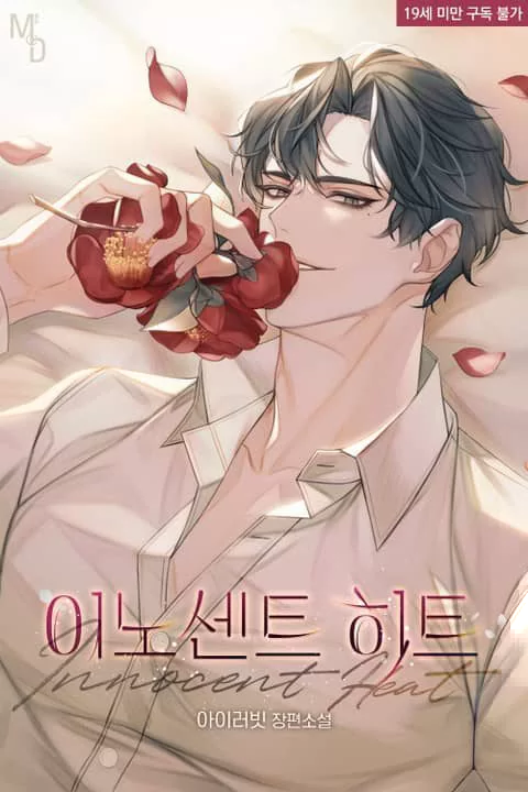 Novel Banner