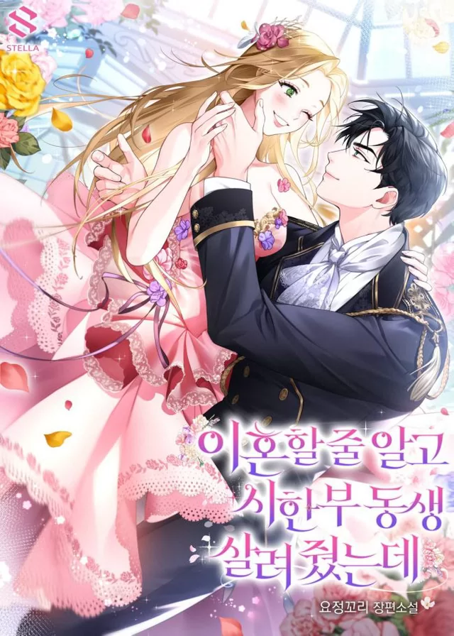 Novel Banner