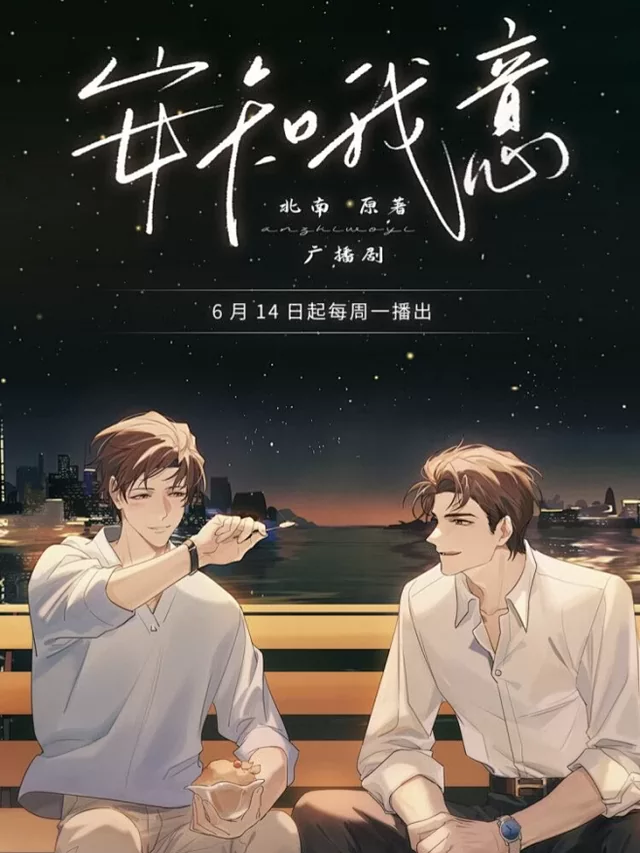 Novel Banner