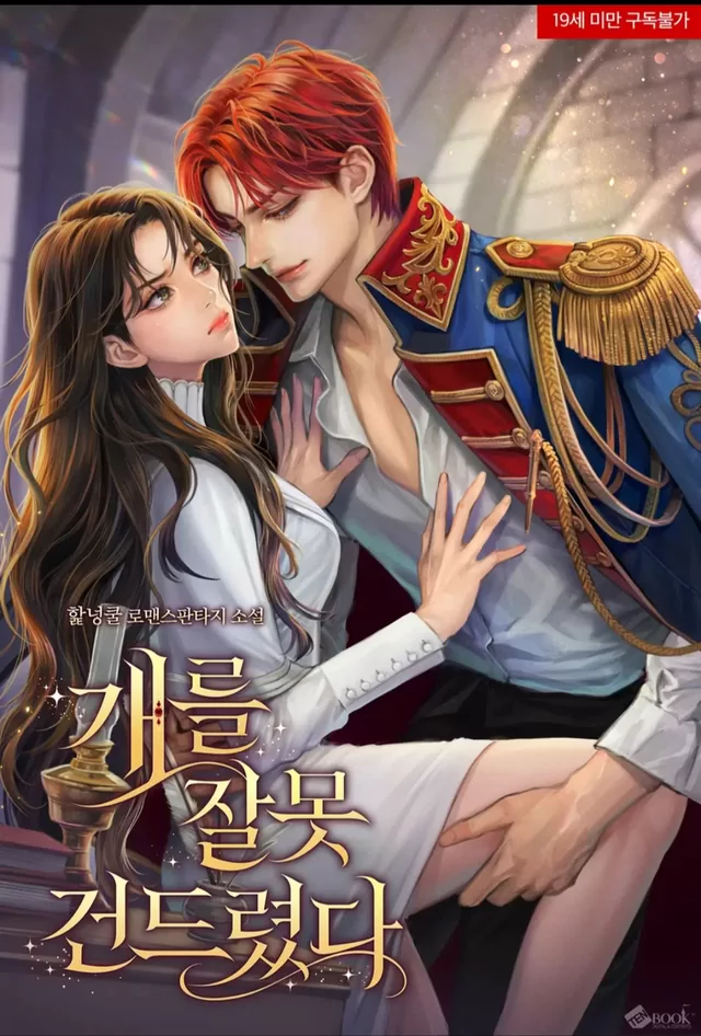 Novel Banner