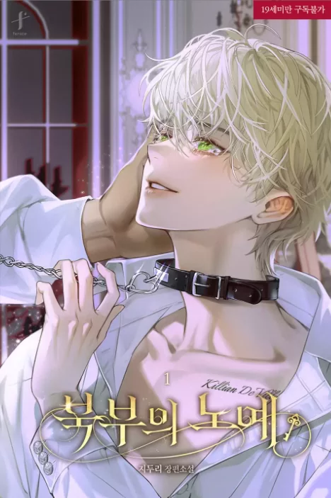 Novel Banner