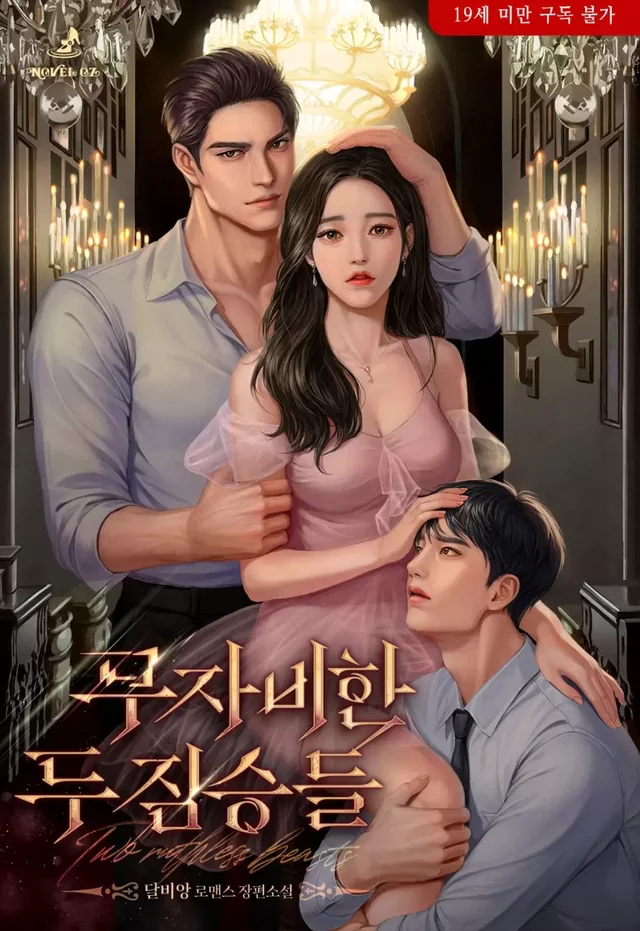 Novel Banner